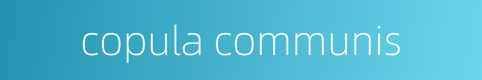 copula communis的同义词