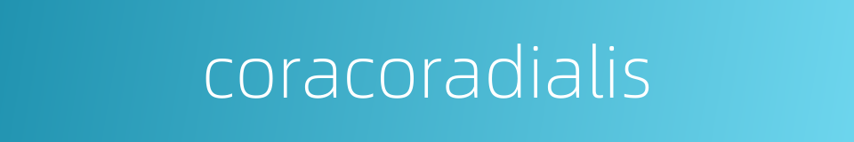 coracoradialis的同义词