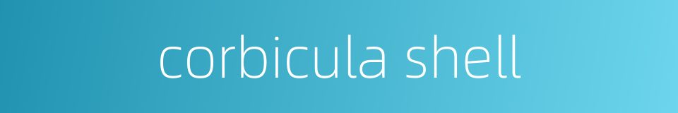 corbicula shell的同义词