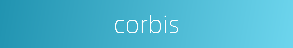 corbis的同义词