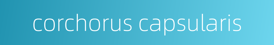 corchorus capsularis的同义词