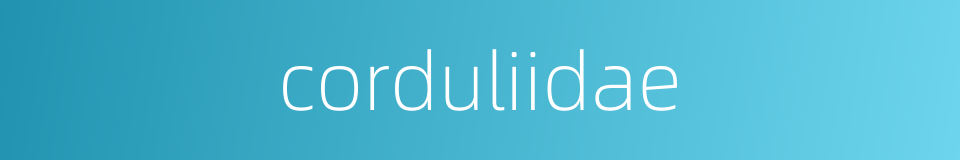 corduliidae的同义词