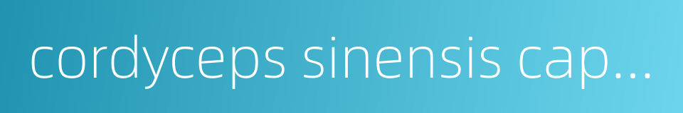 cordyceps sinensis capsule的同义词