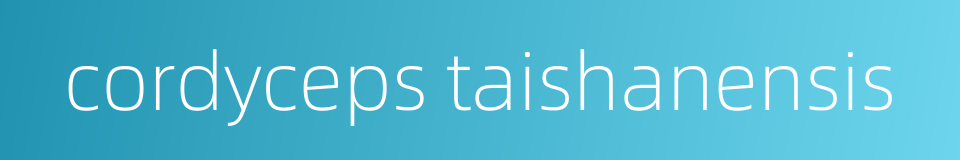 cordyceps taishanensis的同义词