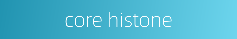 core histone的同义词