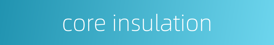 core insulation的同义词