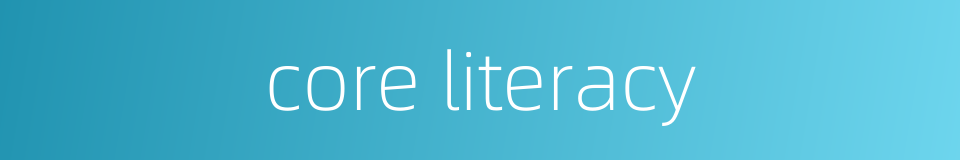 core literacy的同义词