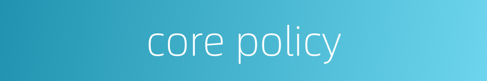 core policy的同义词