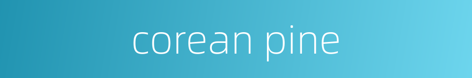 corean pine的同义词