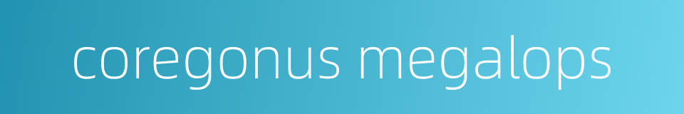 coregonus megalops的同义词