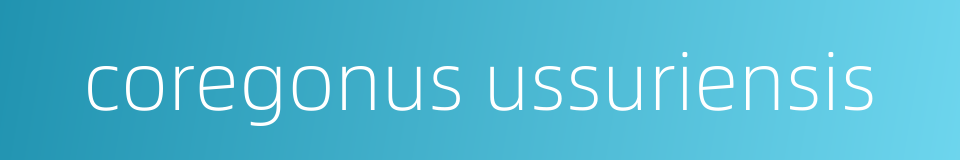 coregonus ussuriensis的同义词