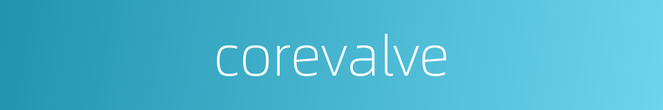 corevalve的同义词