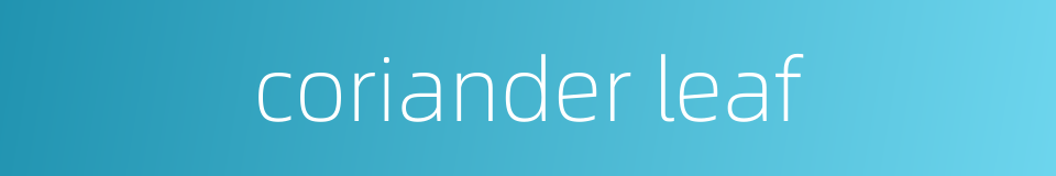 coriander leaf的同义词