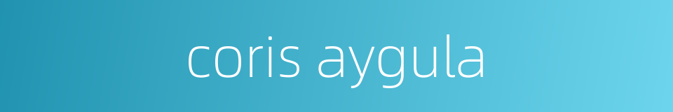 coris aygula的同义词