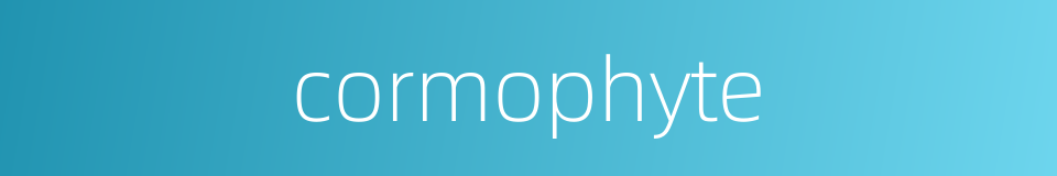 cormophyte的同义词