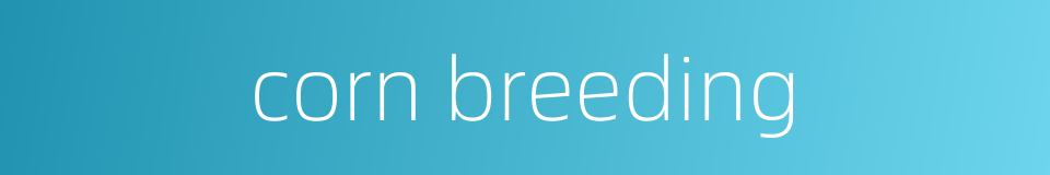 corn breeding的同义词