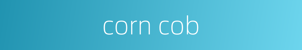 corn cob的同义词