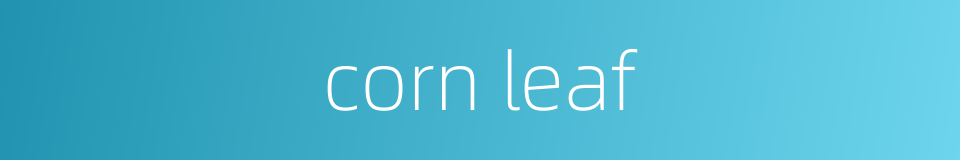 corn leaf的同义词