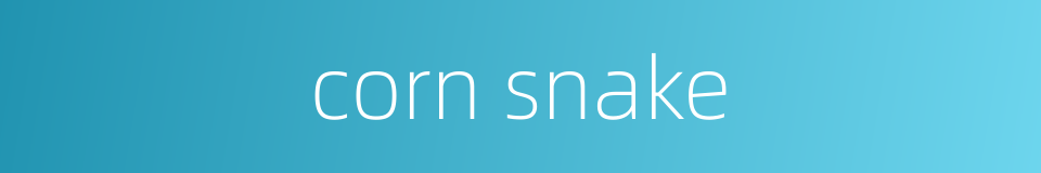 corn snake的同义词