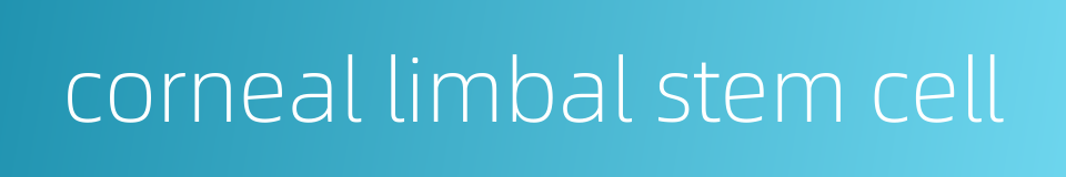 corneal limbal stem cell的同义词