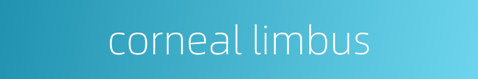 corneal limbus的同义词