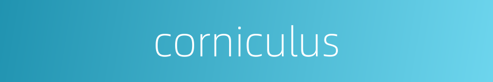 corniculus的同义词