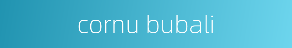 cornu bubali的同义词