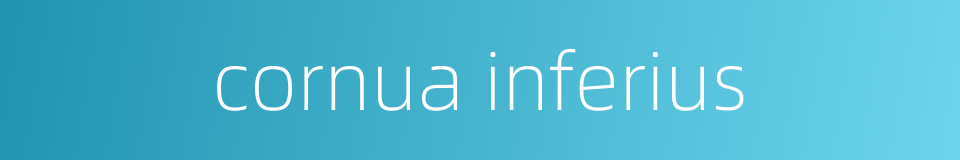 cornua inferius的同义词