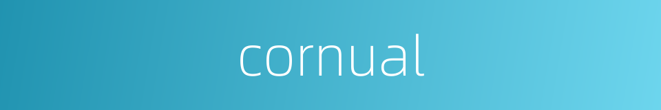cornual的同义词