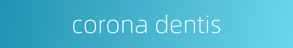 corona dentis的同义词