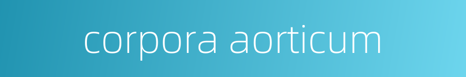 corpora aorticum的同义词