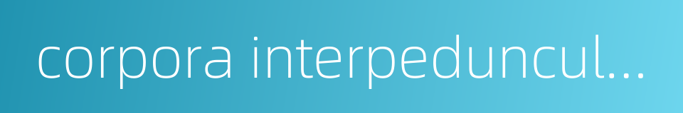 corpora interpedunculare的同义词