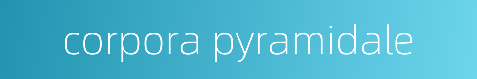 corpora pyramidale的同义词