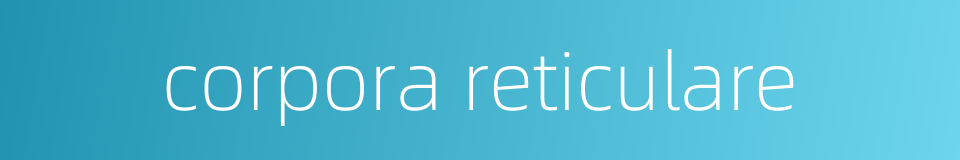 corpora reticulare的同义词