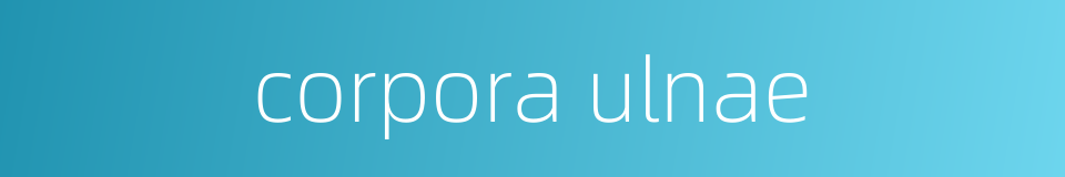 corpora ulnae的同义词