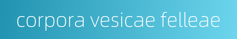corpora vesicae felleae的同义词