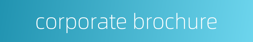 corporate brochure的同义词