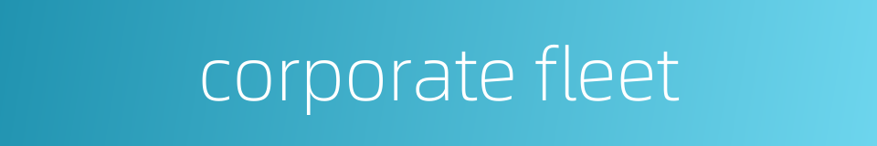 corporate fleet的同义词