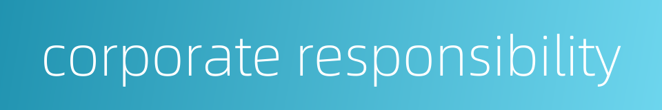 corporate responsibility的同义词