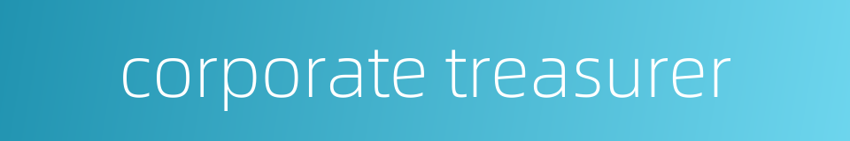 corporate treasurer的同义词