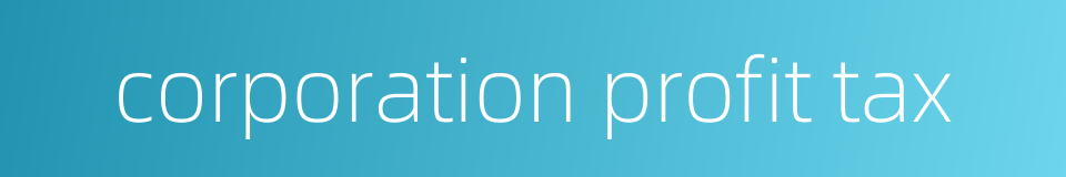 corporation profit tax的同义词