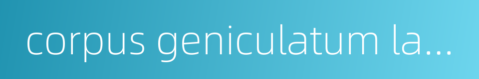 corpus geniculatum lateral的同义词