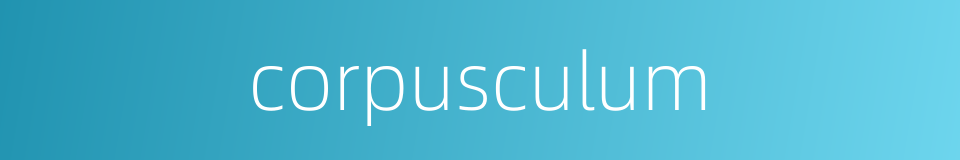 corpusculum的同义词