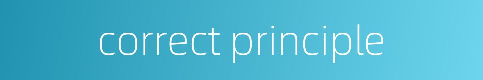 correct principle的同义词