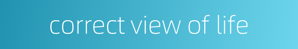 correct view of life的同义词