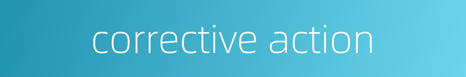 corrective action的同义词