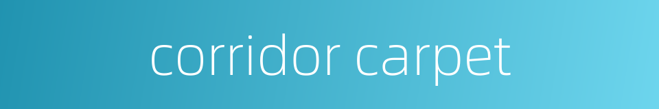 corridor carpet的同义词