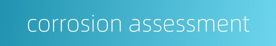 corrosion assessment的同义词