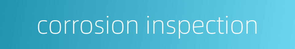 corrosion inspection的同义词