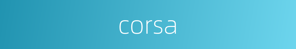 corsa的同义词